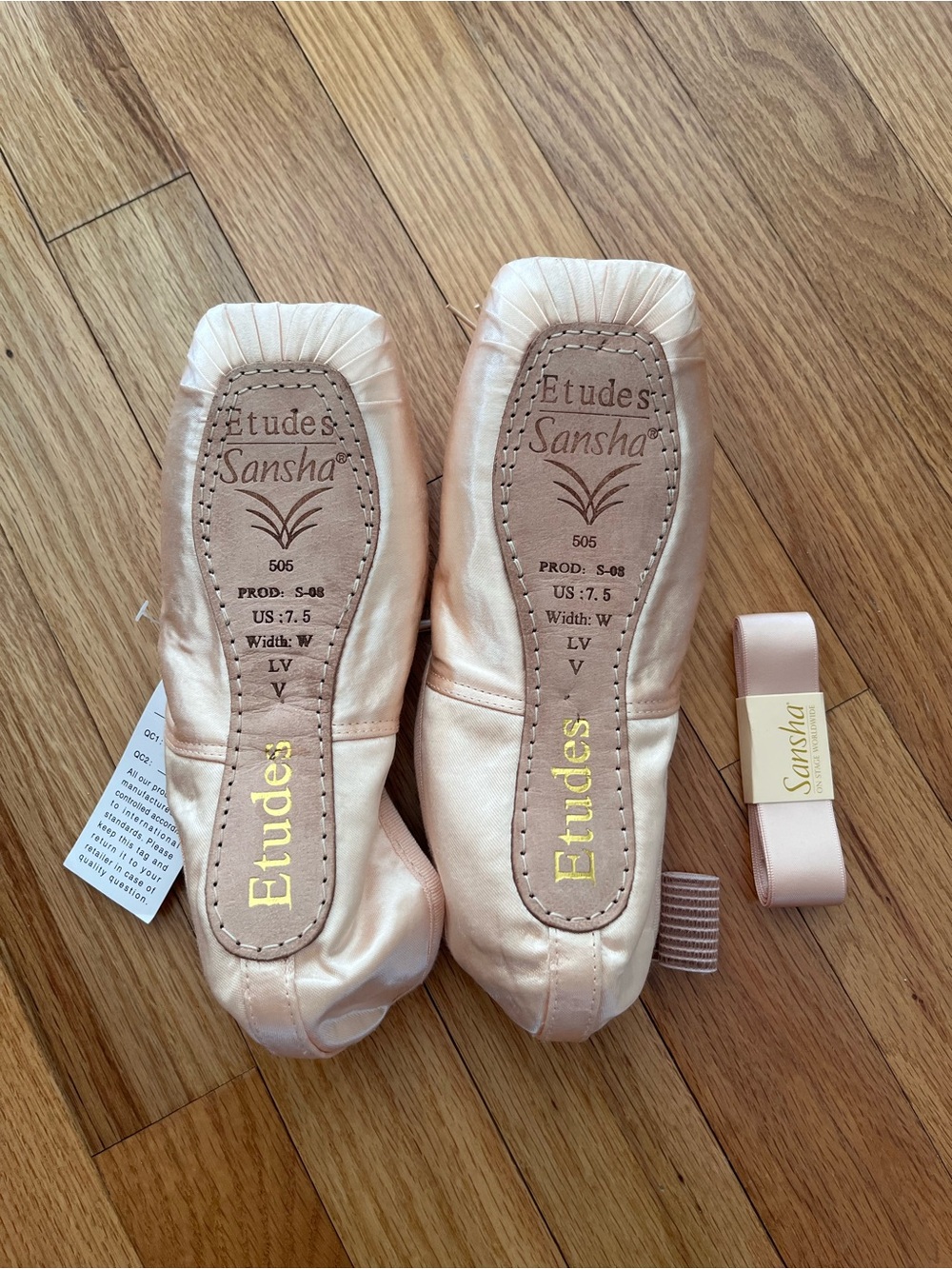 Etudes Pink Satin Pointe Shoes by Sansha